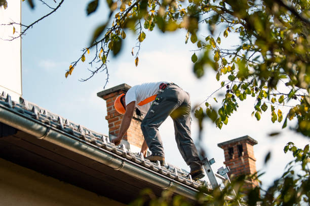 Best Roof Maintenance Services  in Hernando Beach, FL