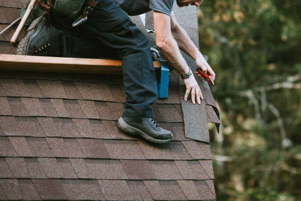 Best Flat Roof Repair Services  in Hernando Beach, FL