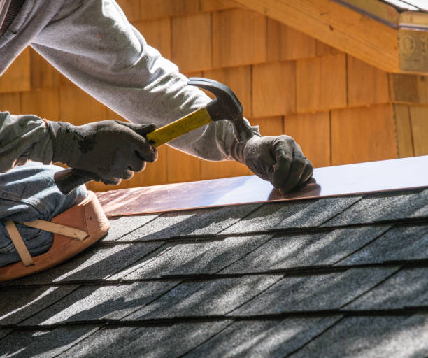 Best Shingle Roofing Installation  in Hernando Beach, FL